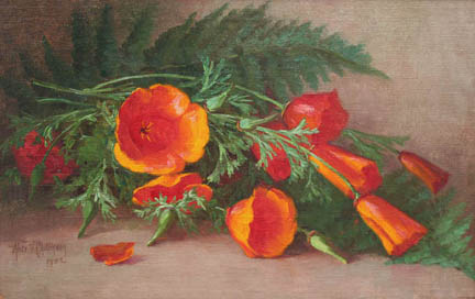 Alice Chittenden - Poppies